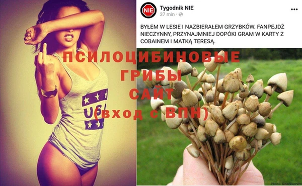 бошки Михайловка