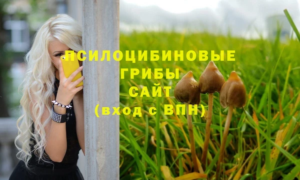 дмт Михайлов