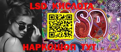ECSTASY Гай