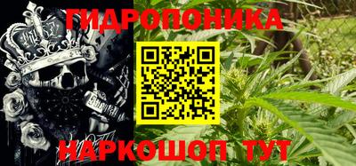 ECSTASY Гай