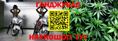 ECSTASY Гай