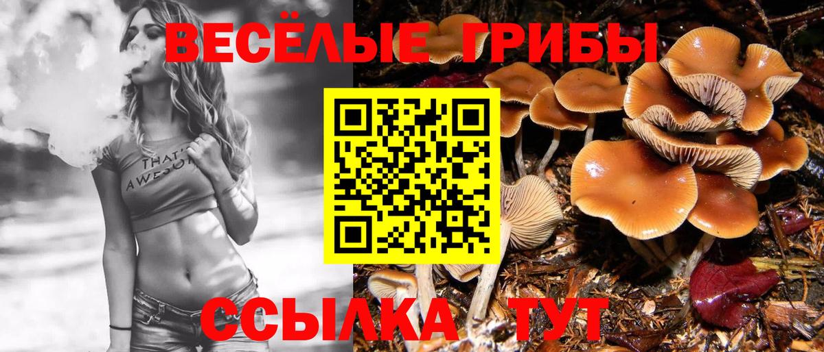 Галлюциногенные грибы MAGIC MUSHROOMS  Псилоцибиновые грибы прущие грибы  Магнитогорск  Вход с VPN 