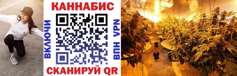 где купить наркоту  Магнитогорск  Каннабис план 